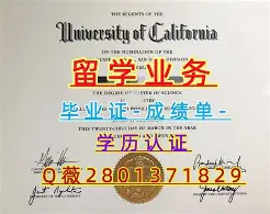 纳达尔场均17+8的内球迷热议的简单介绍|开元棋牌官网